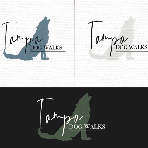 Florida logo with the title 'Logo concept for Tampa Dog Walks co.'