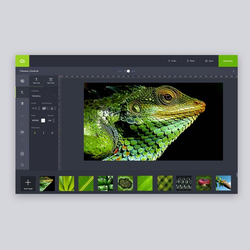 Interface design with the title 'Online Graphic Design Tool'