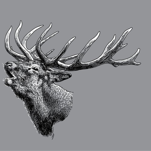 Deer artwork with the title 'Vector Deer Head Illustration'