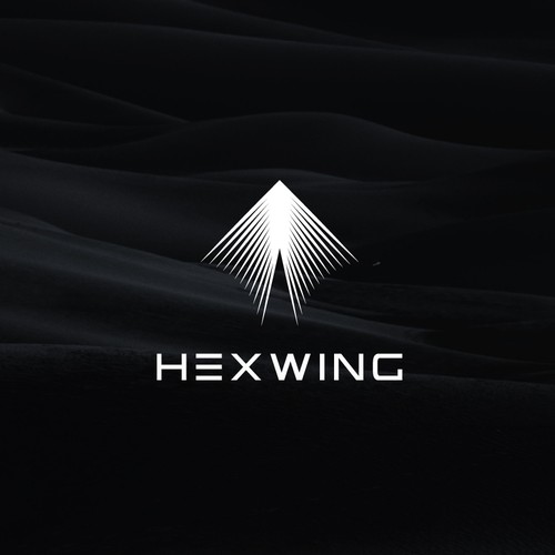Drone photography logo with the title 'Logo for HEXWING'