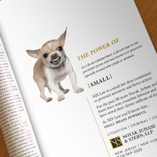 Legal design with the title 'Print Ad for Small Law firm'