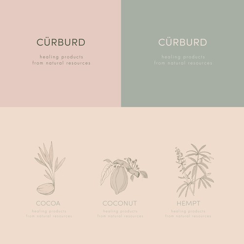 Cocoa design with the title 'Cürburd brand identity'