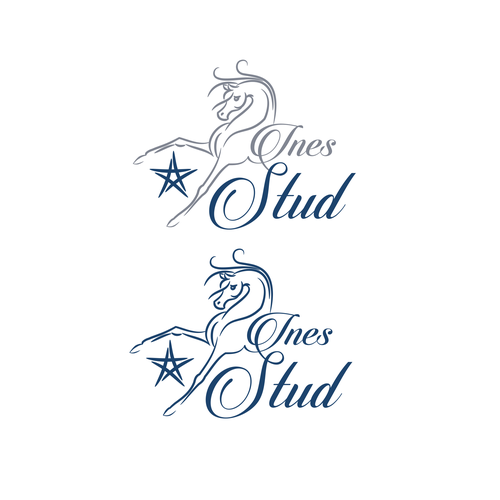 Horse riding logo with the title 'ines Stud'