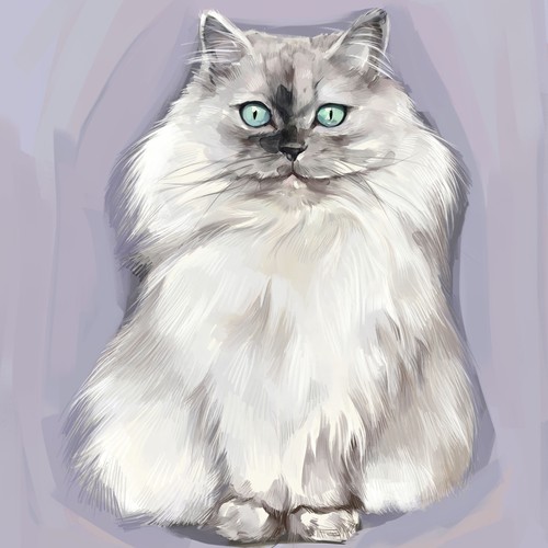 Portrait artwork with the title 'Pet Illustration'