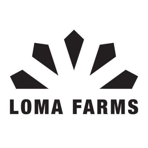 Bauhaus logo with the title 'Simple and Bold Mark'