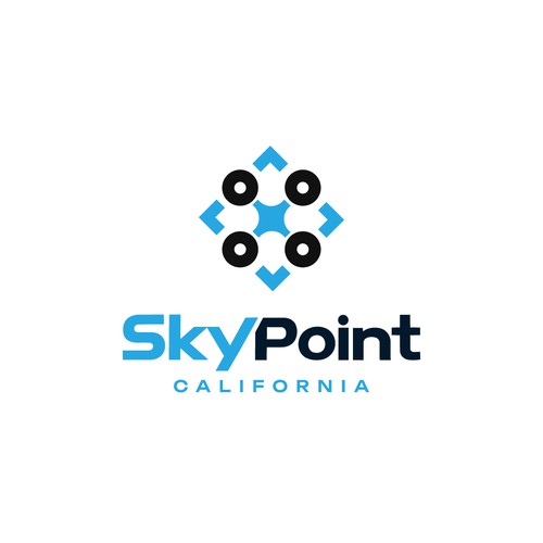 Drone logo with the title 'SkyPoint California'