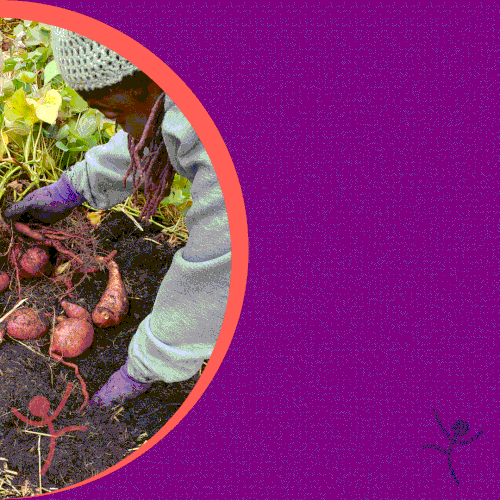 Project design with the title 'FB Add for  community & non-profit'