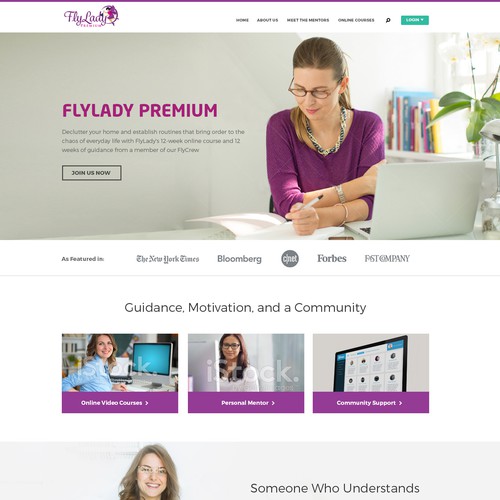 House website with the title 'New Website for FlyLady Premium'