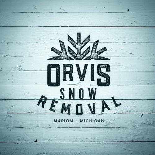 Snow logo with the title 'A snow removal company'