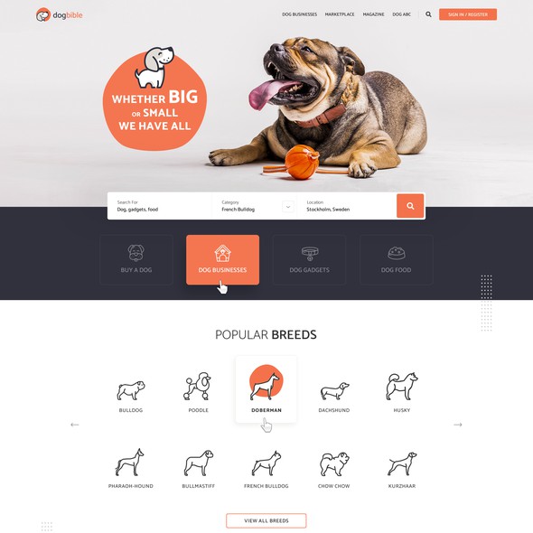 Dog website with the title 'Webdesign for online dog platform / marketplace / magazine'