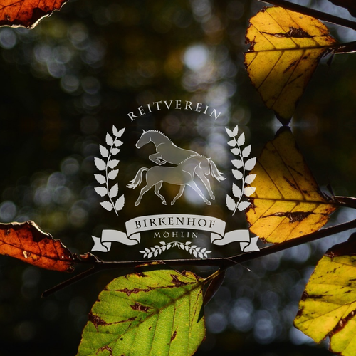 Serif logo with the title 'Elegant and Sophisticated Logo'