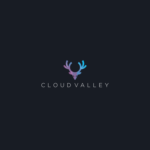 Digital media design with the title 'Logo for Cloud Valley'