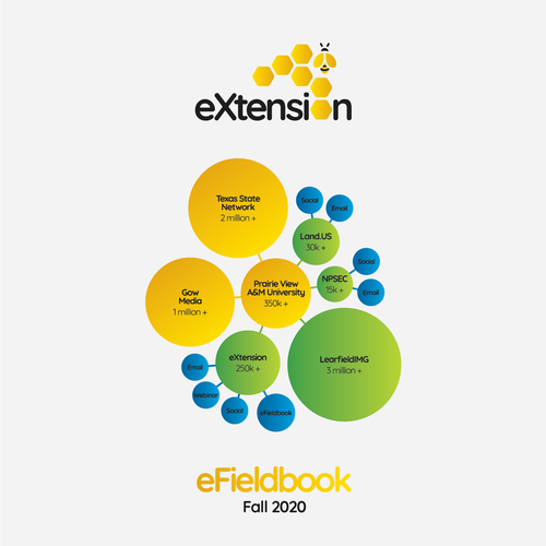 College logo with the title 'eBook cover and logo for academic foundation'