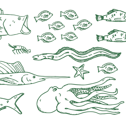 Underwater design with the title 'Aquatic Life Pattern for Whole Foods'