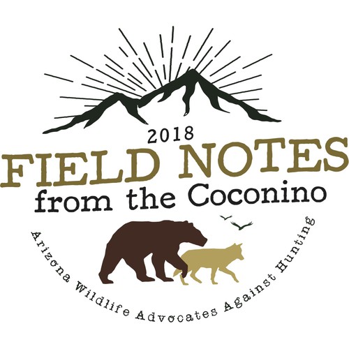 Deer t-shirt with the title 'T-Shirt Design for Wildlife Foundation'