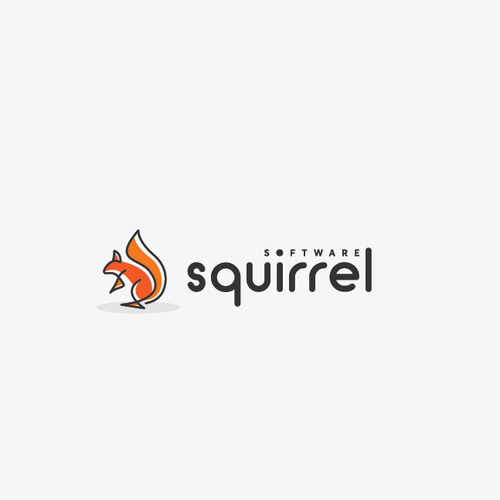 Squirrel logo with the title 'software squirrel'