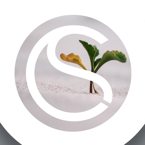 Climate design with the title 'ClimateSeed Logo Design'