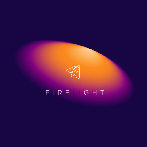 Firefly logo with the title 'a digital marketing agency'