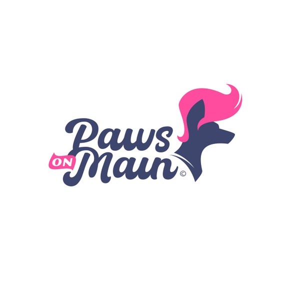 Salon design with the title 'Dog Grooming Logo'