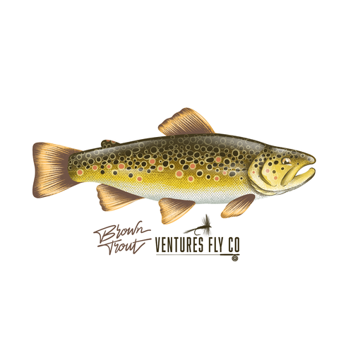 Fishing boat design with the title 'Venturs Fly Co'