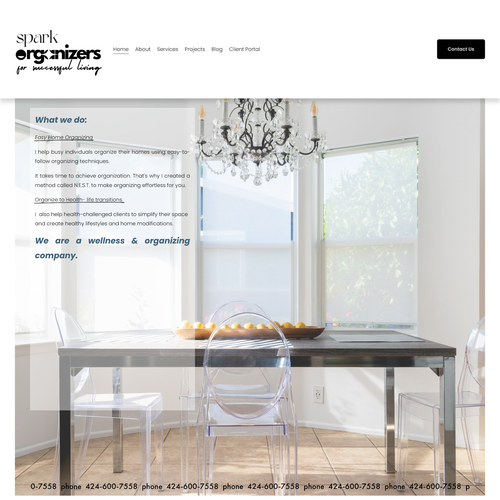 SEO design with the title 'Spark Organizers LA SEO'