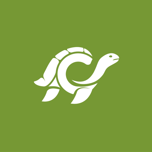 Turtle design with the title 'A Standout Turtle Logo for Linux Security'