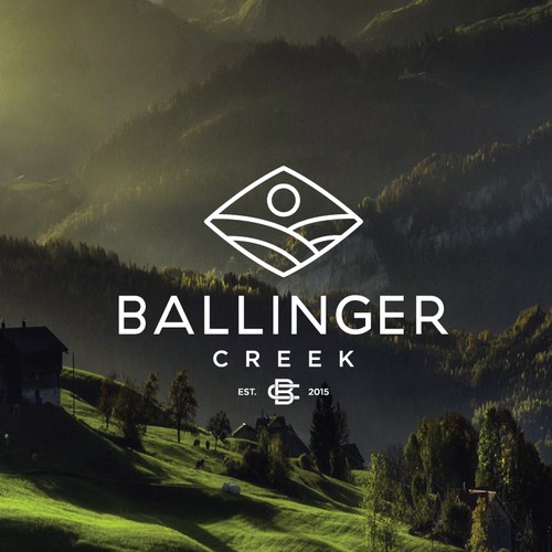 Clean brand with the title 'Brand Identity Design for Organic Farm'