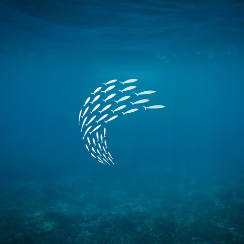 Scuba logo with the title 'Coral'