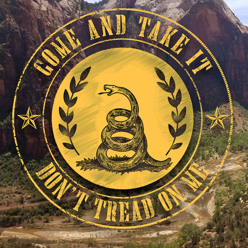 Flag design with the title 'don’t tread on me'