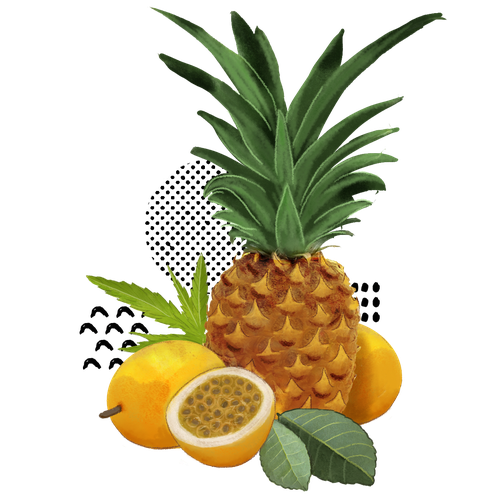 Fresh label with the title 'Illustration'