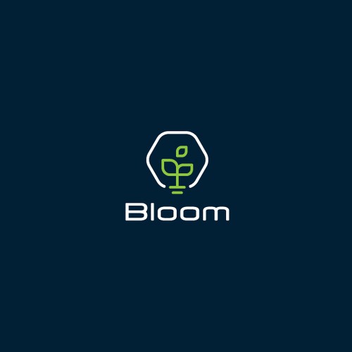 Bloom logo with the title 'Bloom Logo'