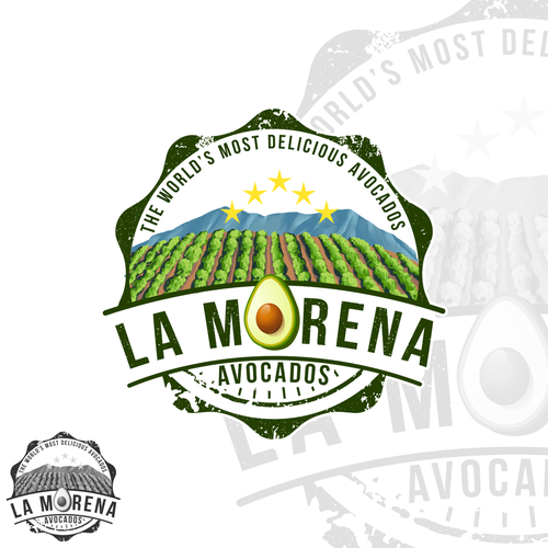 Star brand with the title 'logo design'