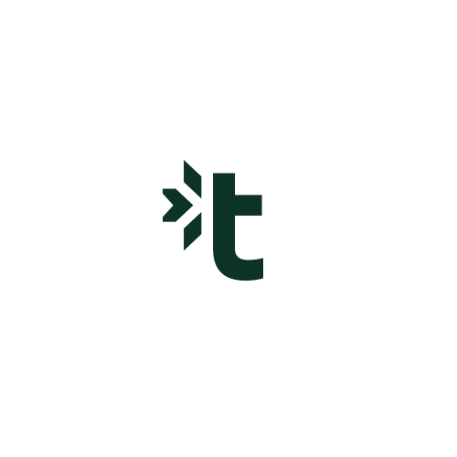 Minimalist brand with the title 'Trio logo'
