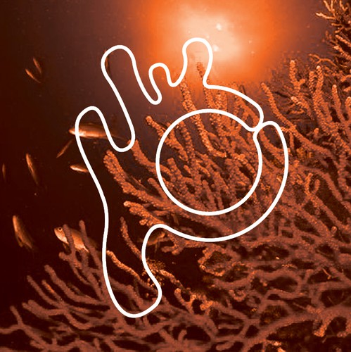 Coral design with the title 'Peninsula Aquatics'