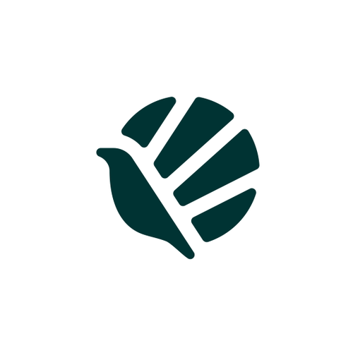 Design with the title 'bird logo'