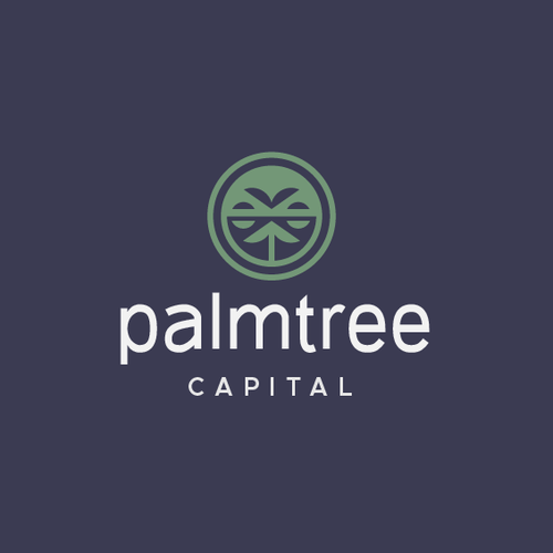 Beach logo with the title 'PalmTree Capital'