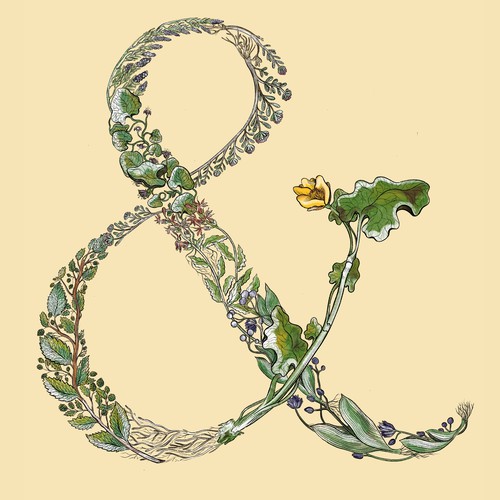 Plant illustration with the title 'Ampersand for the brewery company'