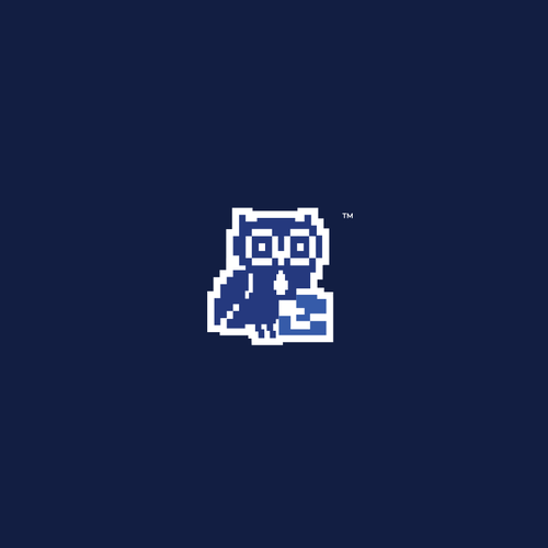 Owl brand with the title 'Offmap Logo project'