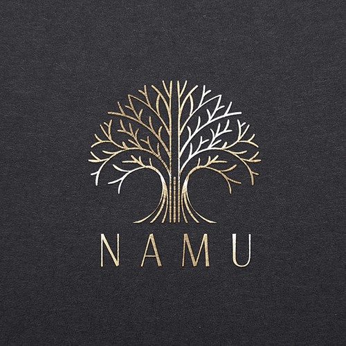 Brush and comb logo with the title 'Logo for NAMU'
