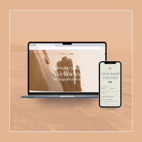 Soft design with the title 'Website Design for Hi-End Hippie'