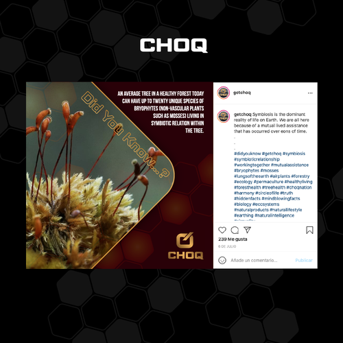 Plant illustration with the title 'Instagram Post'