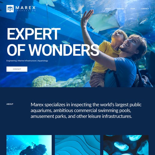 Aquarium design with the title 'Modern website for commercial divers'