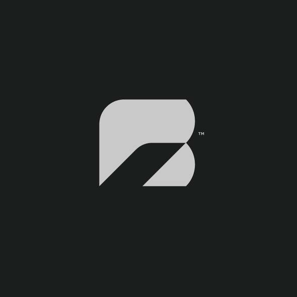 Bp logo with the title 'Brandmark-NR0474'
