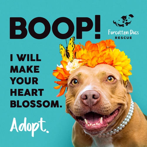 Instagram ad design with the title 'Facebook Instagram Ad'