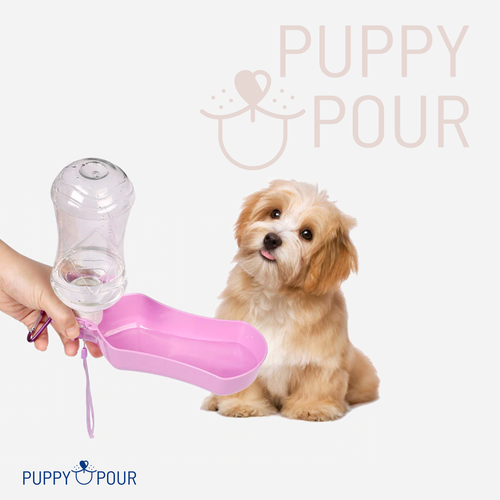 Clipart design with the title 'simple line logo for portable dog water bottle'