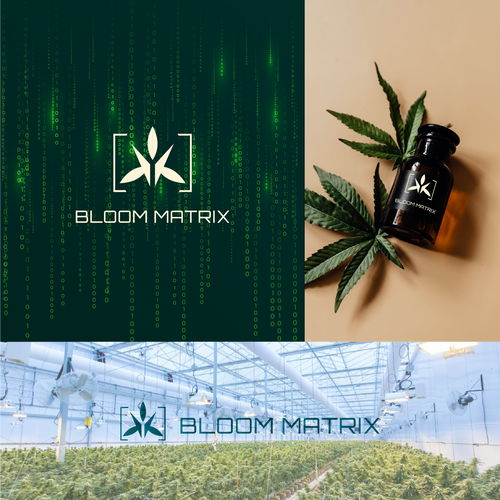 Matrix design with the title 'Bloom Matrix Logo Design'