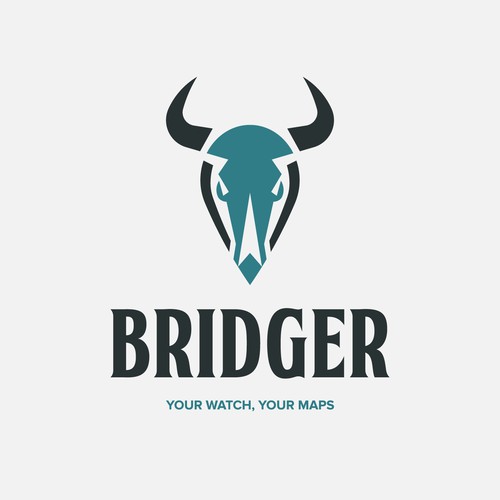 Point logo with the title 'Bull Location Logo'