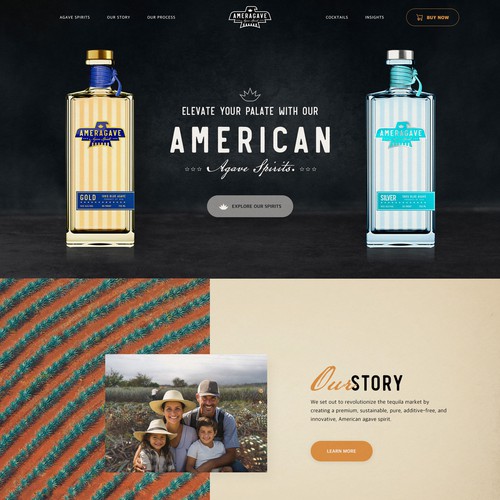 Eye-catching website with the title 'An eCommerce for An American Agave Spirits company'