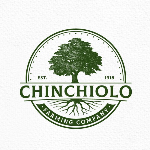 Professional logo with the title 'Bold Oak Tree Farm'