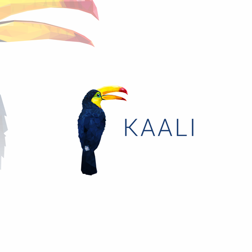 Toucan logo with the title 'Kaali'
